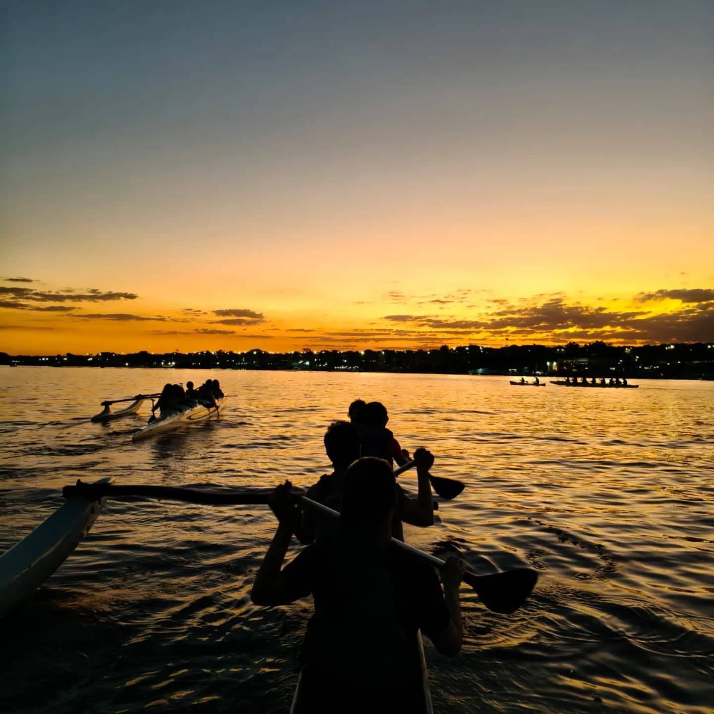 Fernanda Rachid - Serviços
