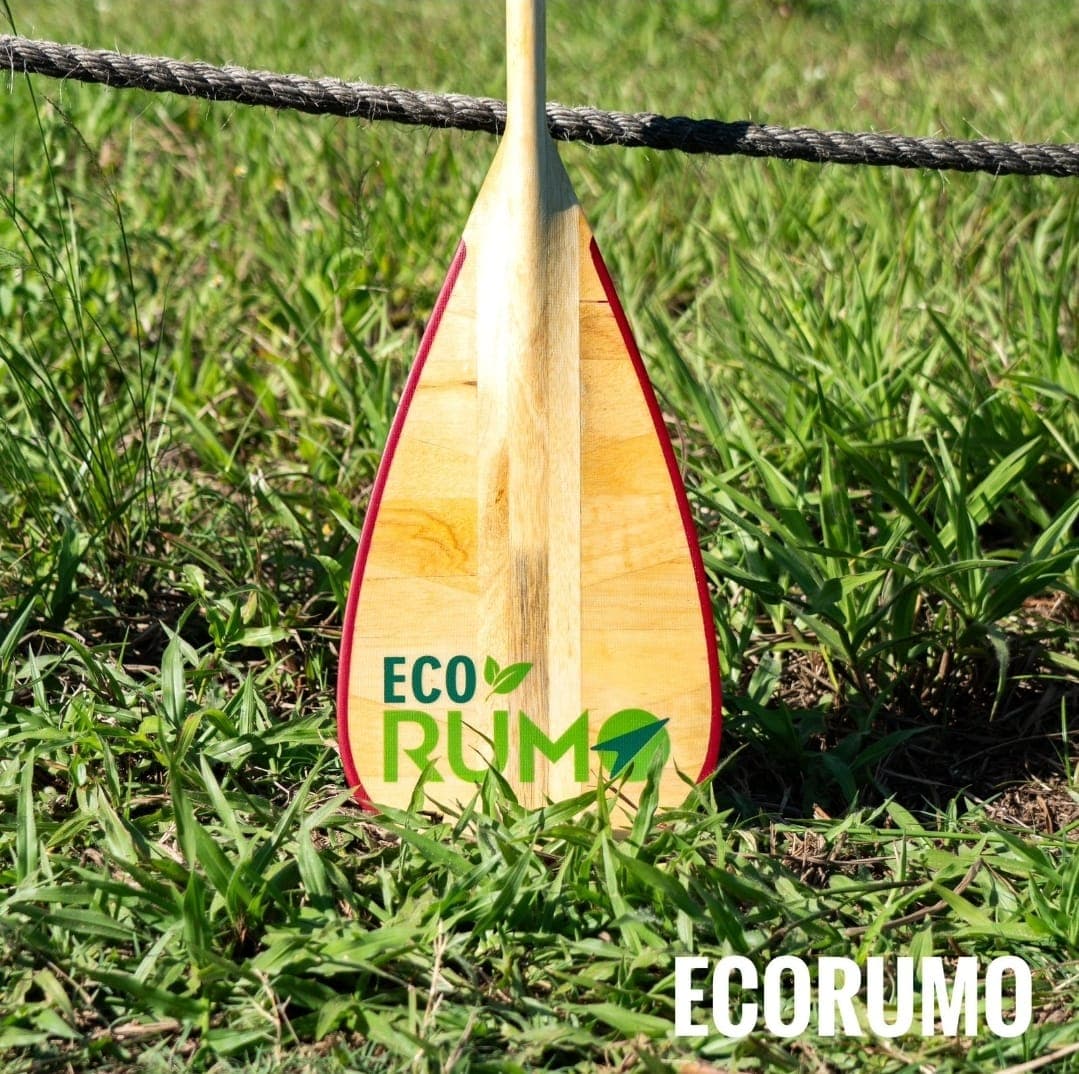 Remo Madeira (Iniciante)